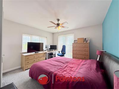 Picture 13